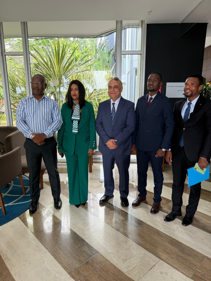 Working stay in Libreville with Numan Groupe partners.